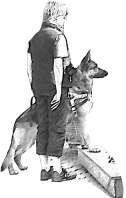 Servicehunde-Sachsen